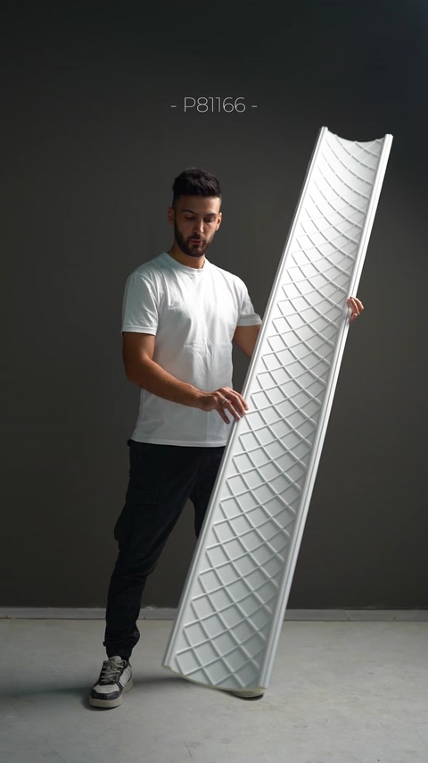 Partea posterioară a cornișei are un model tehnic romboidal