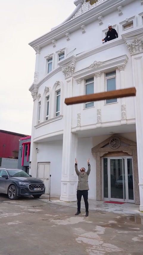 Grindă decorativă aruncată în fața unei clădiri ornamentate