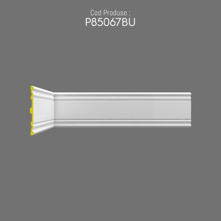 P85067BU Panel types for prefabricated rigid polyurethane foam cladding