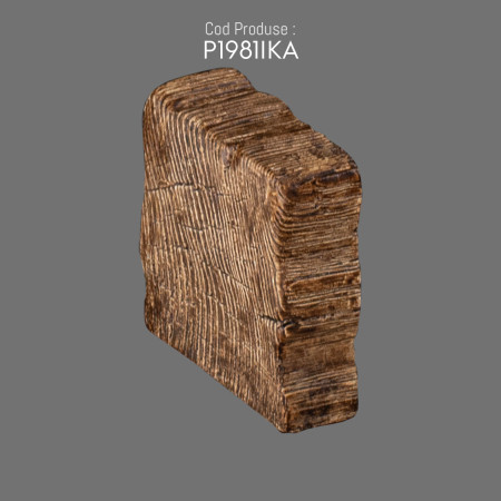 P1981IKA Manufacture of wood look beams from rigid polyurethane foam